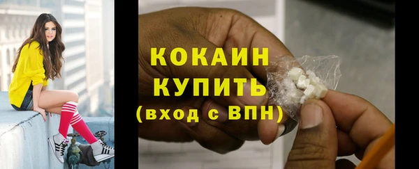 спиды Новодвинск