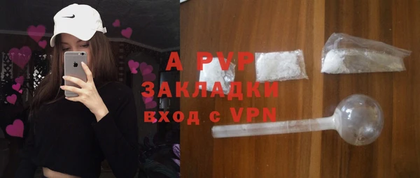 спиды Новодвинск