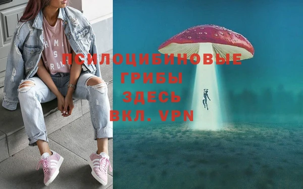 spice Новозыбков