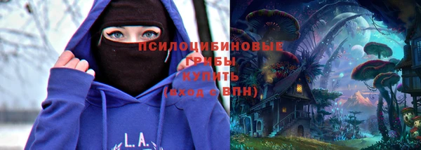 spice Новозыбков