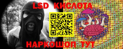 индика Дубна