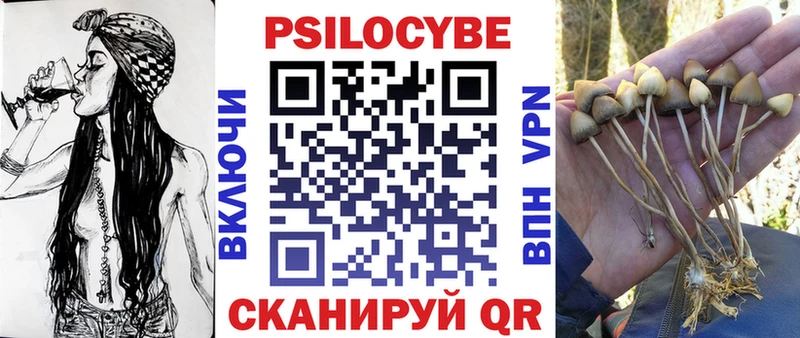 купить цена Павловский Посад Псилоцибиновые грибы мицелий