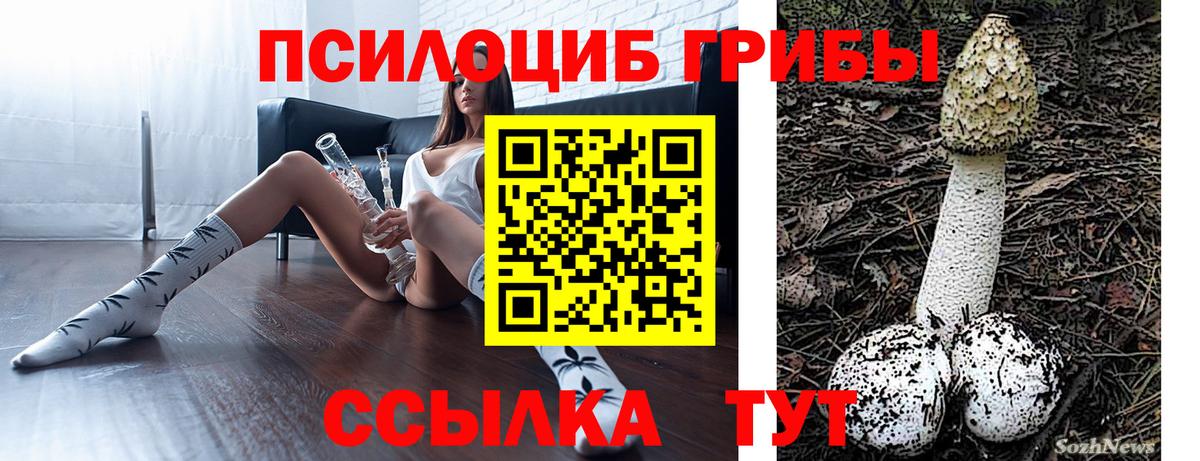 Галлюциногенные грибы GOLDEN TEACHER Павловский Посад