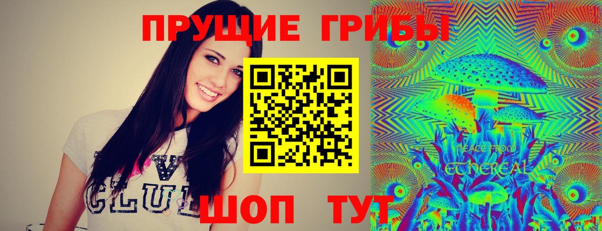 Псилоцибиновые грибы мухоморы Павловский Посад