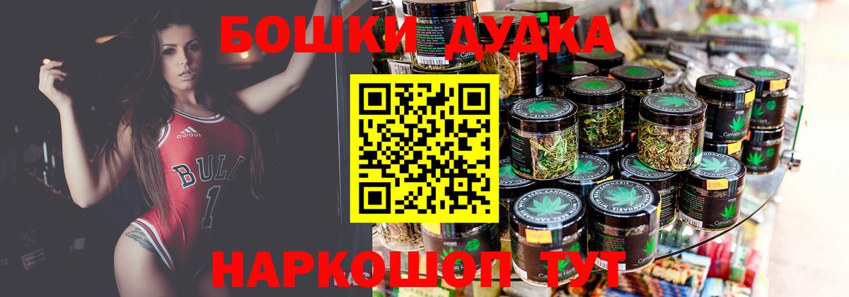 МАРИХУАНА план  Павловский Посад  Бошки Шишки индика  Каннабис SATIVA & INDICA 